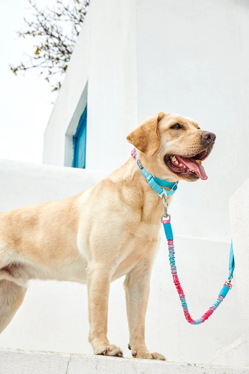 8-Shaped Ring Blue Anti-Strangle Dog Collar