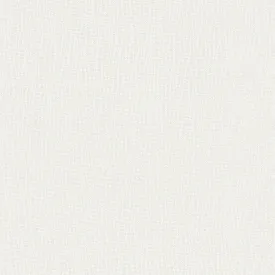 Agne White Threads Paintable Wallpaper by Brewster Home Fashions
