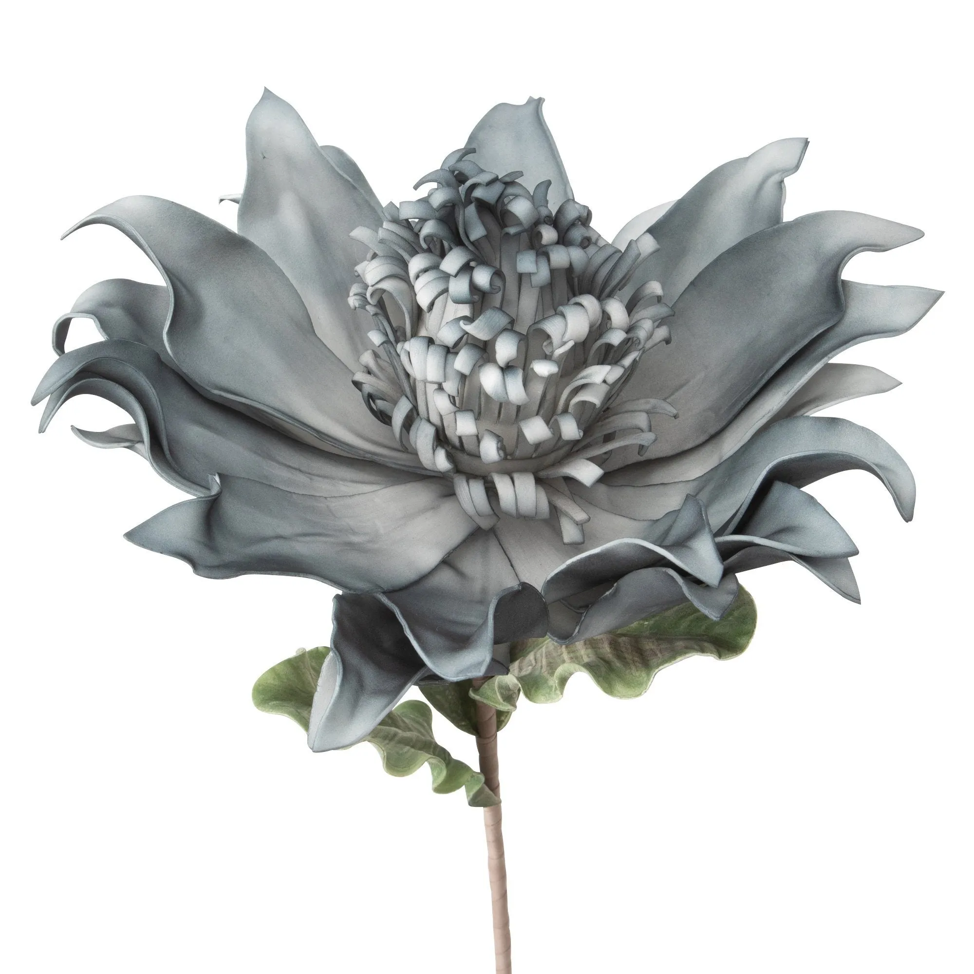 Art Plant Aloe Blue X Gray