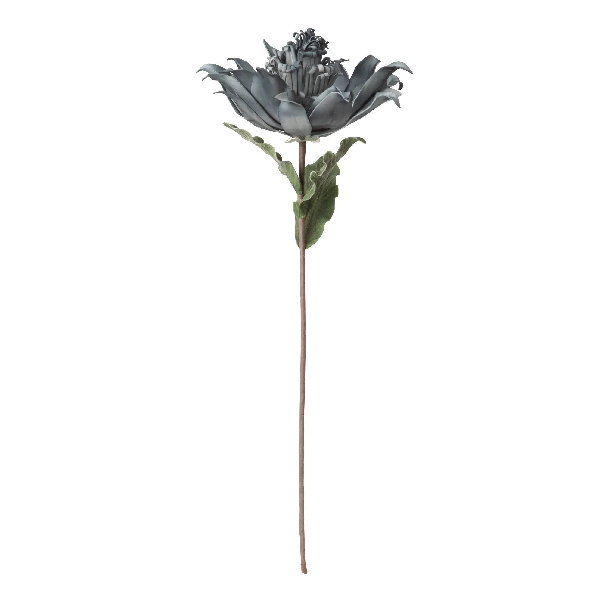 Art Plant Aloe Blue X Gray