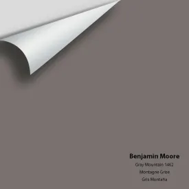 Benjamin Moore - Gray Mountain 1462 Colour Sample