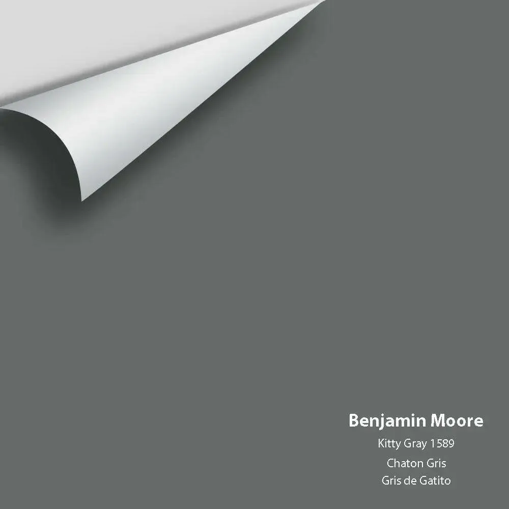 Benjamin Moore - Kitty Gray 1589 Colour Sample