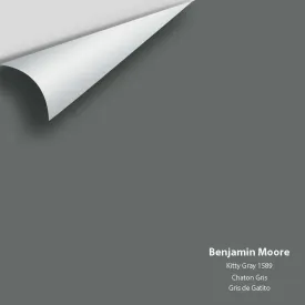 Benjamin Moore - Kitty Gray 1589 Colour Sample