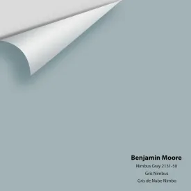 Benjamin Moore - Nimbus Gray 2131-50 Colour Sample