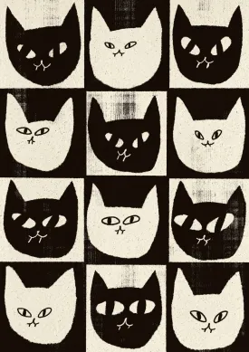 Black Cat White Cat
