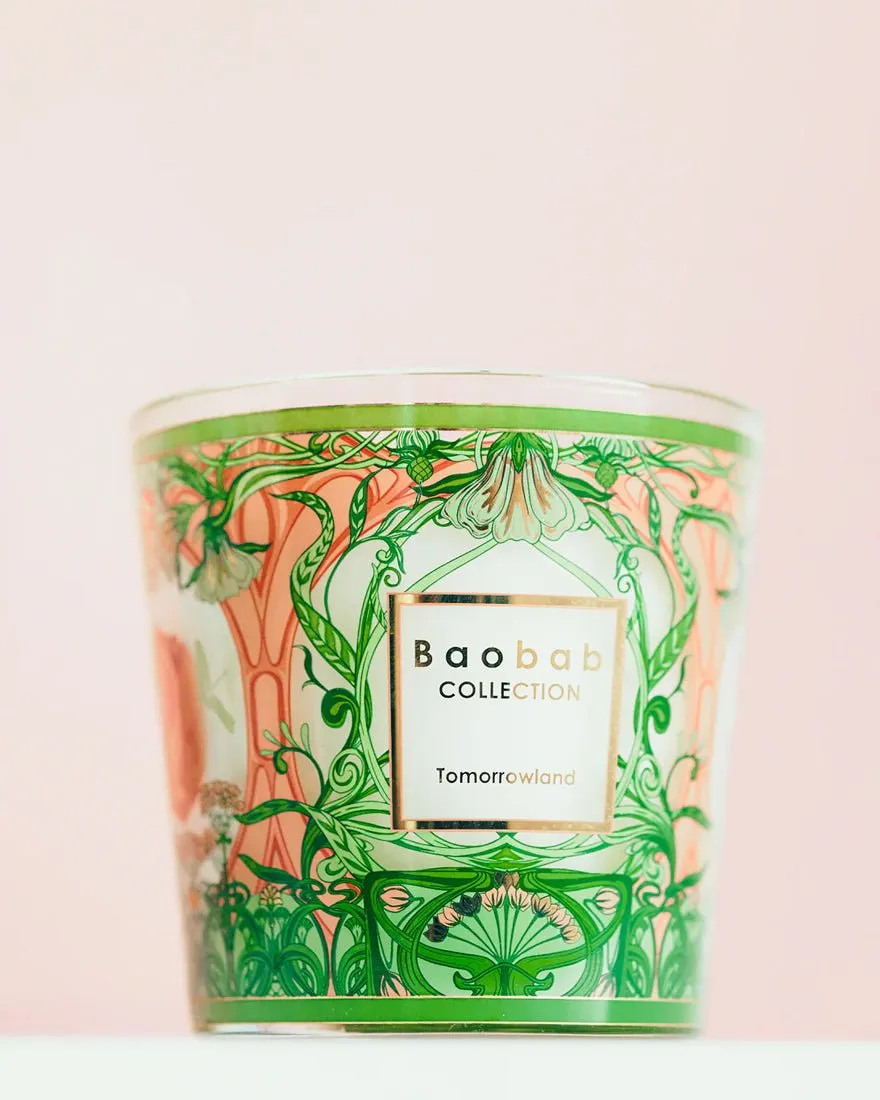 Candle My First Baobab Tomorrowland