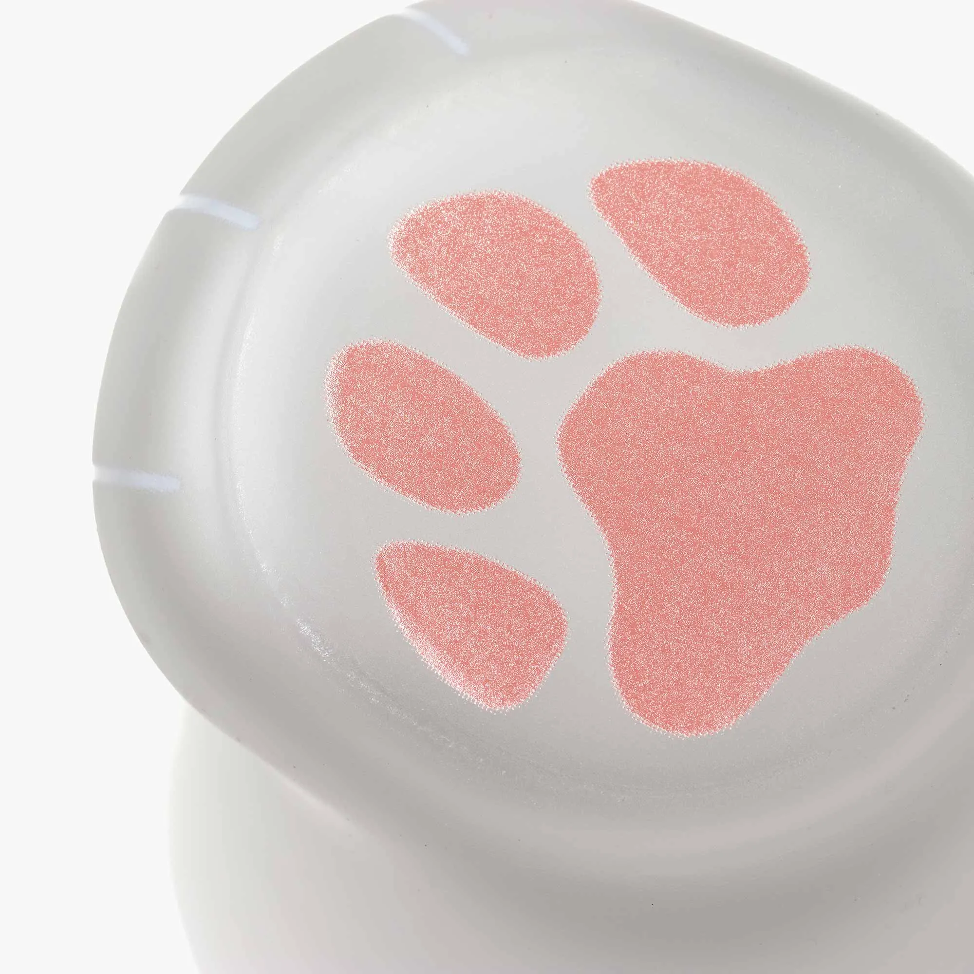 Cat Glass
