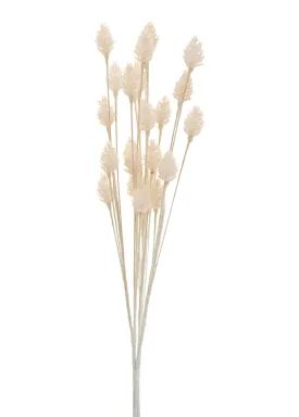 Dried Cream Flowers Stem