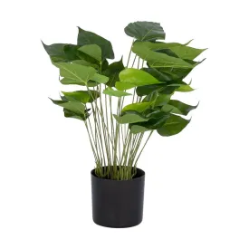 Faux Anthurium Plant