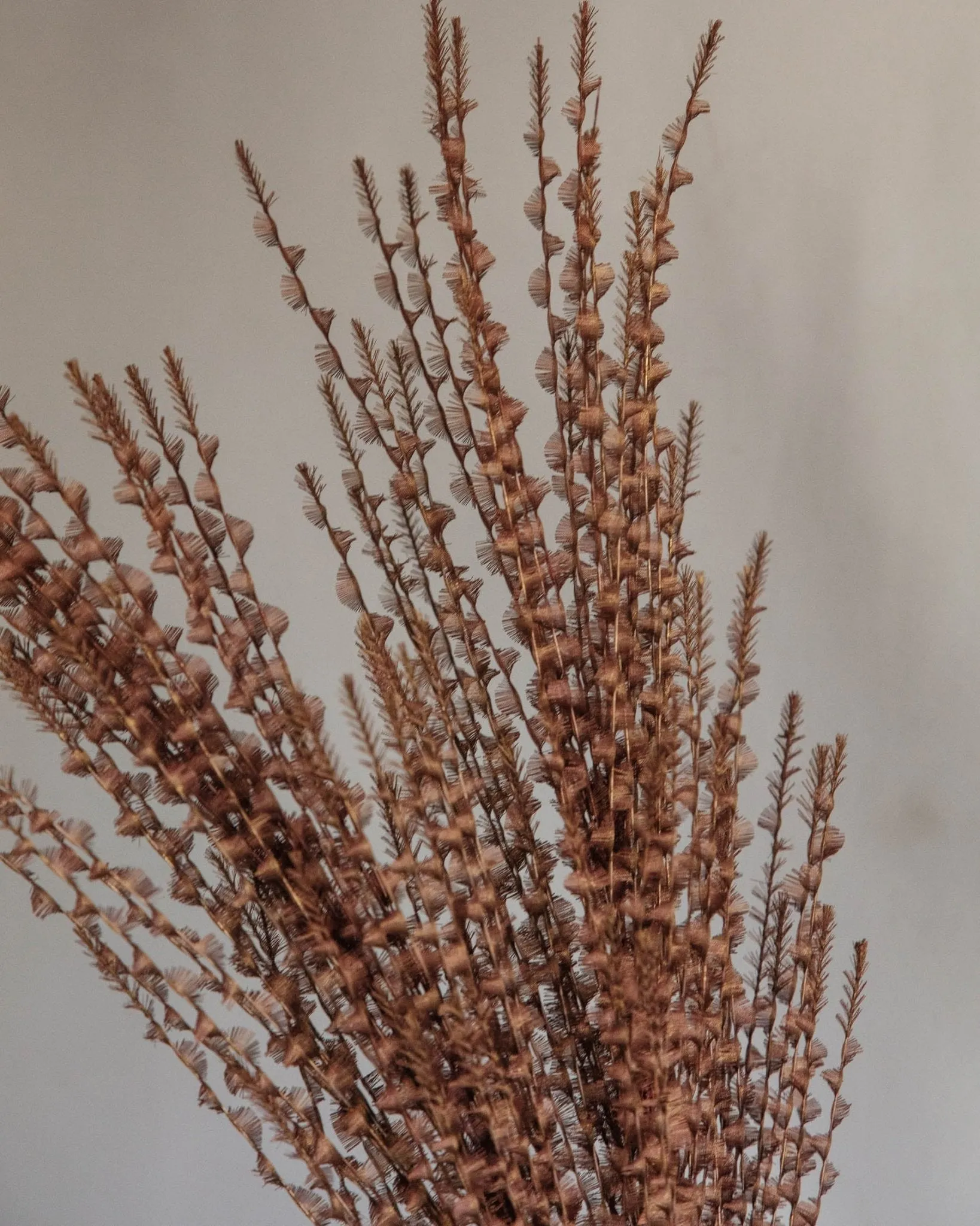 Faux Copper Twisted Eyelash Stem