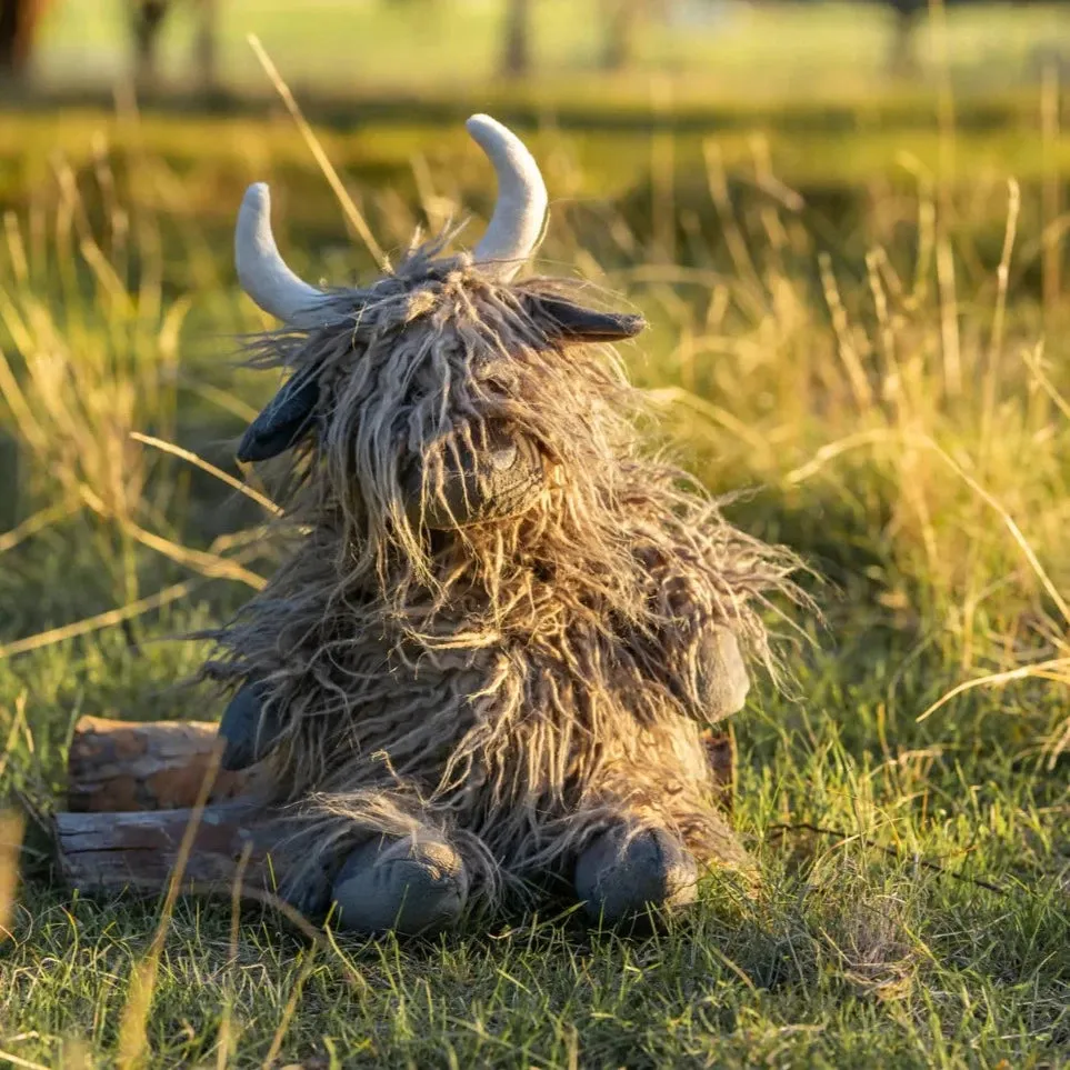 Henry the Highland Cow | Charcoal