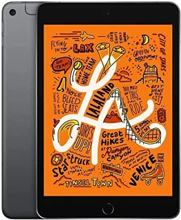 iPad Mini 5 256GB Space Gray (Cellular   Wifi)