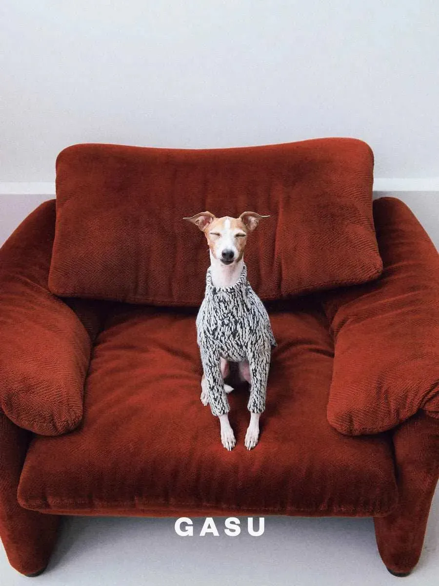 Limited Edition - Dog Wool Pullover