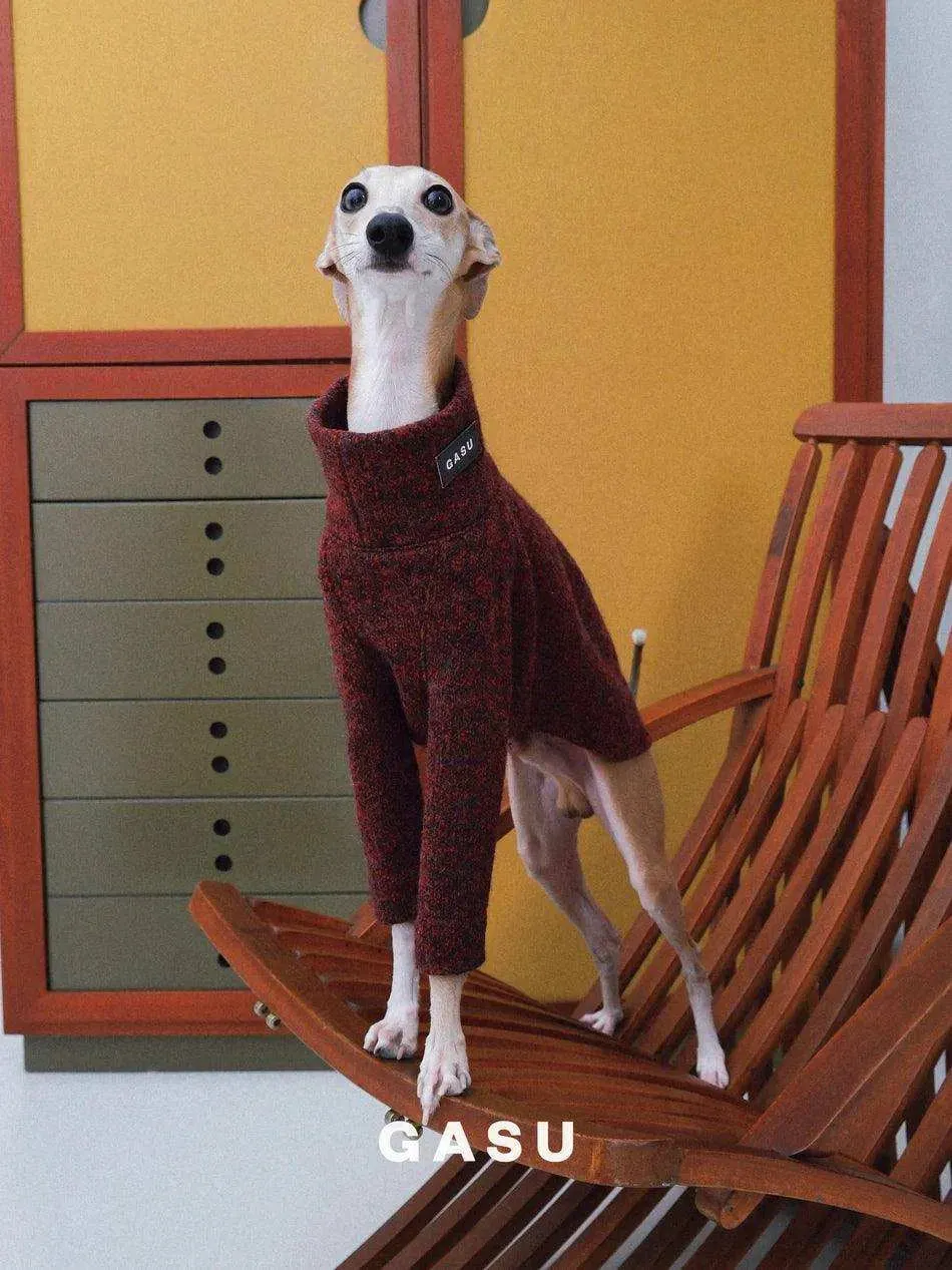 Limited Edition - Dog Wool Pullover