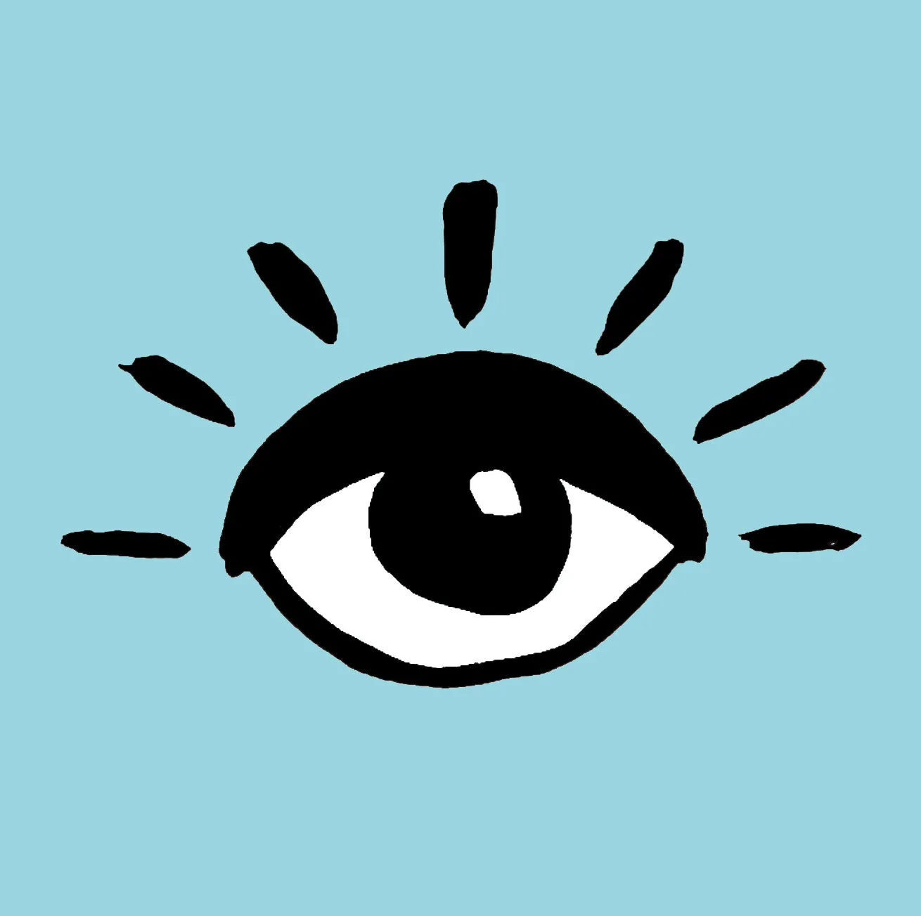 Organic Swaddle Blanket Eyes