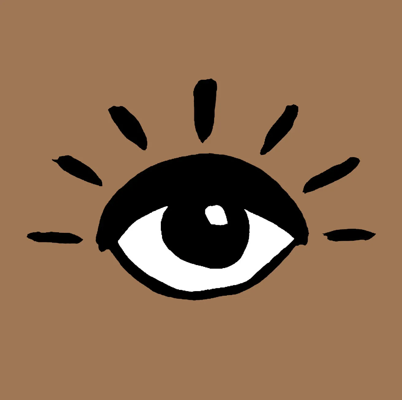 Organic Swaddle Blanket Eyes