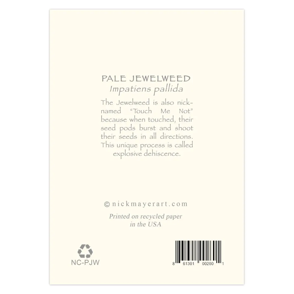 Pale Jewelweed Notecards