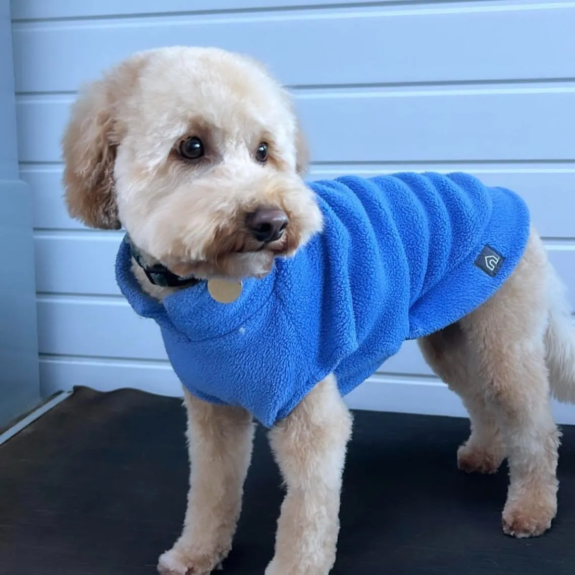 Small Breed Dog Fleece Jumper
