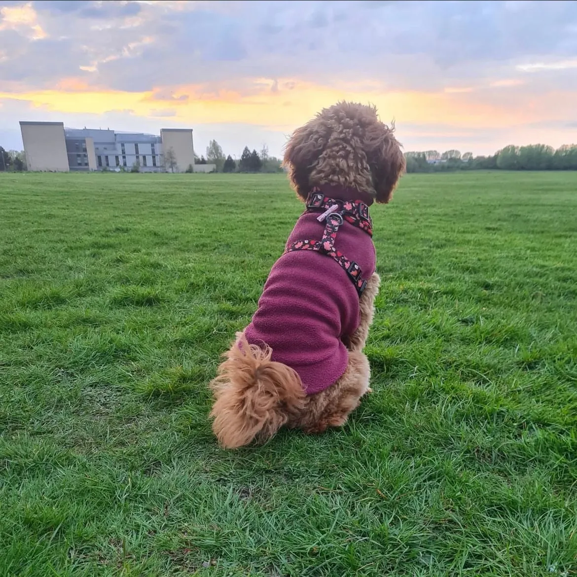 Small Breed Dog Fleece Jumper