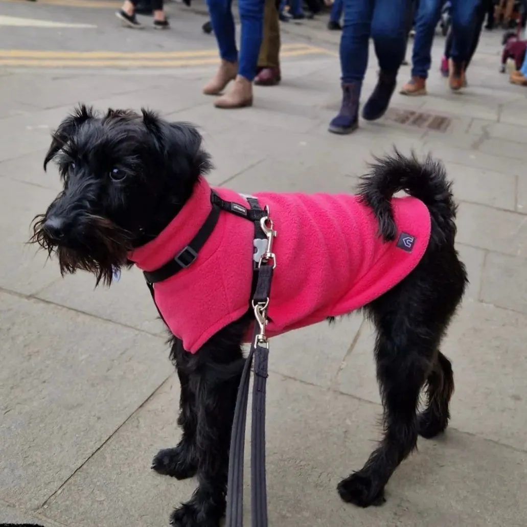Small Breed Dog Fleece Jumper