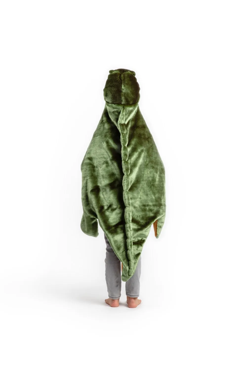T-Rex Costume