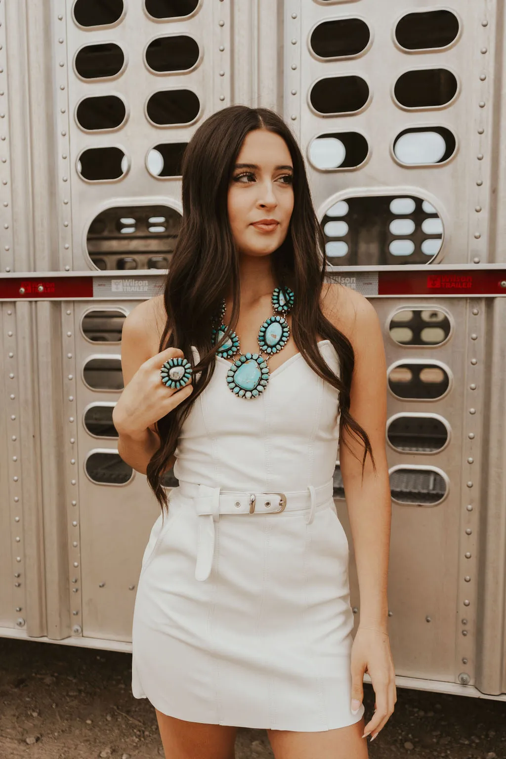 The Williston Dress